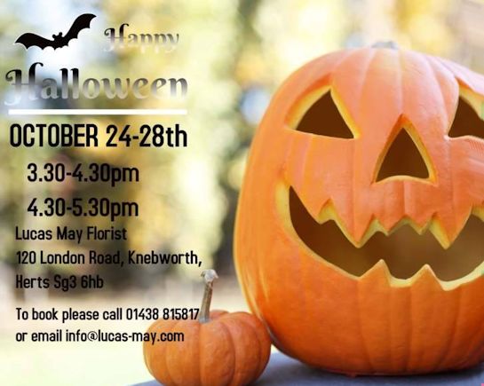 24th Oct: Pumpkin Carving Workshop, Lucas May, Knebworth